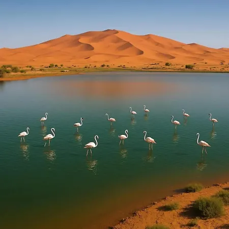 Alan Luxury Tent Merzouga Exterior photo